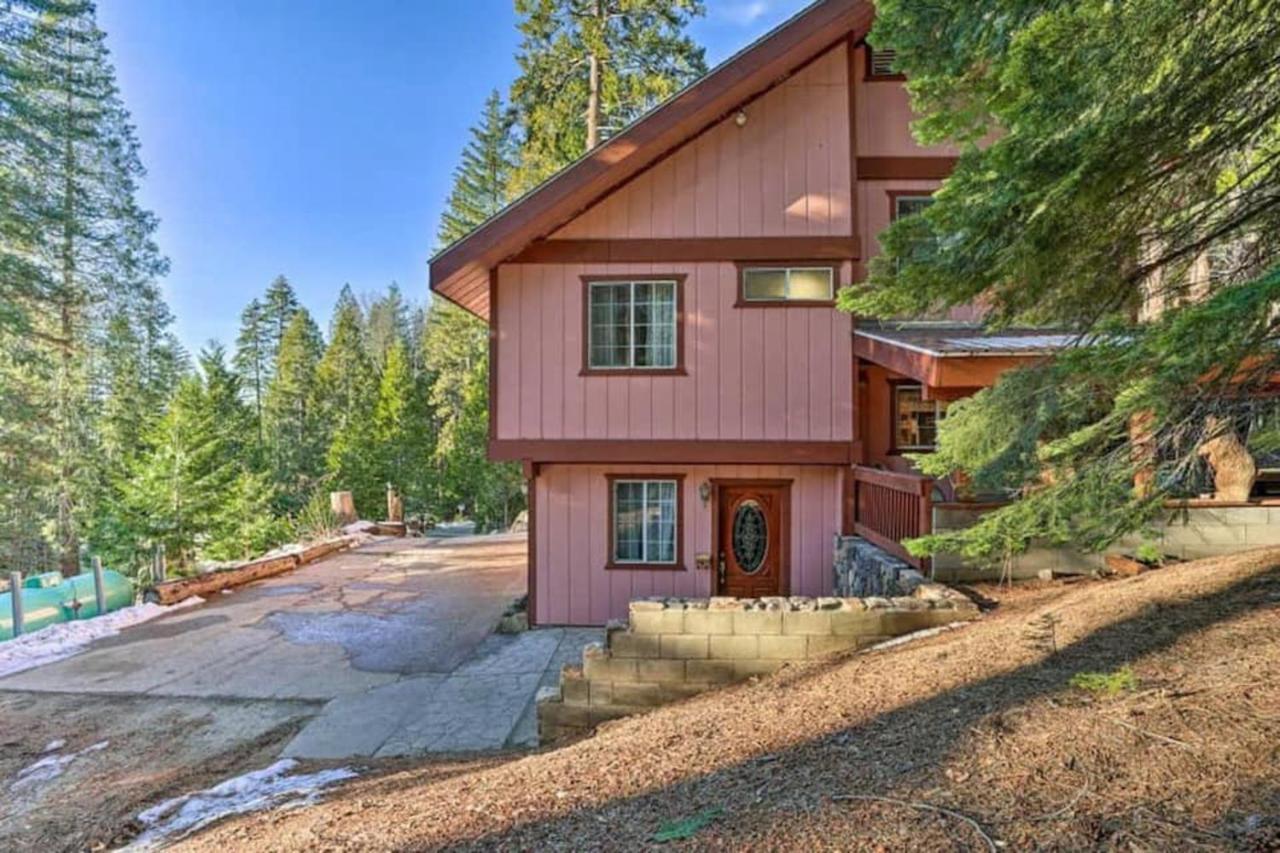 Cozy Bear * Yosemite West
